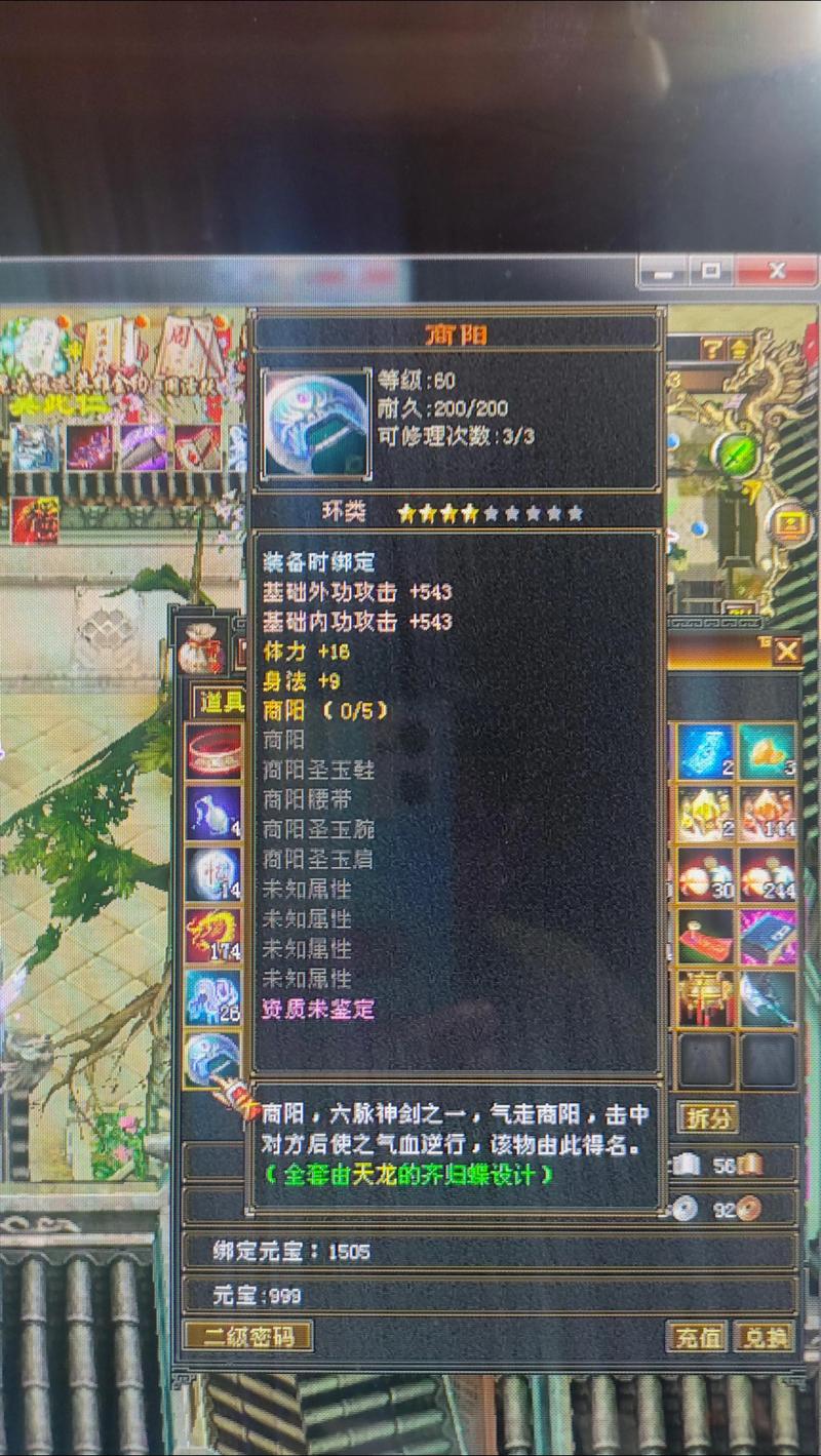 天龙八部私服，揭秘其独特魅力与潜在挑战