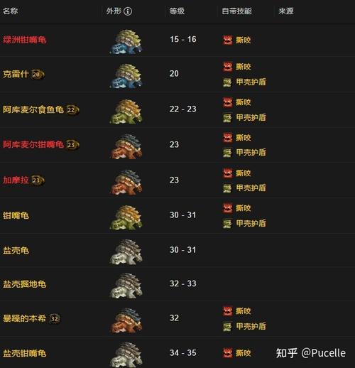 魔兽世界私服宠物抽搐问题解决指南