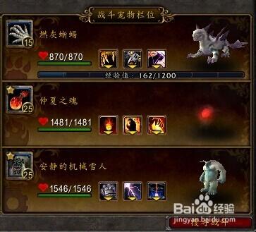 魔兽世界私服宠物抽搐问题解决指南