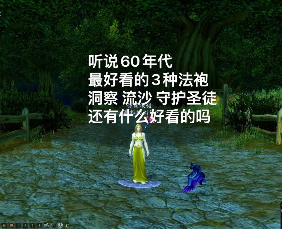 探索魔兽世界私服的奥秘