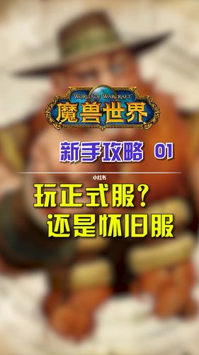 魔兽世界私服发布网站大全，探索与选择指南