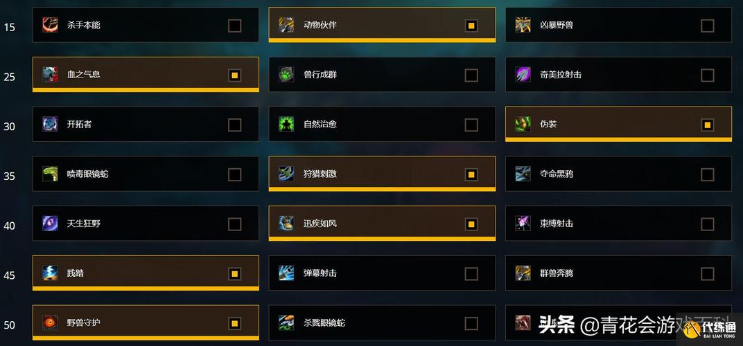魔兽世界私服发布网站大全,探索与选择指南