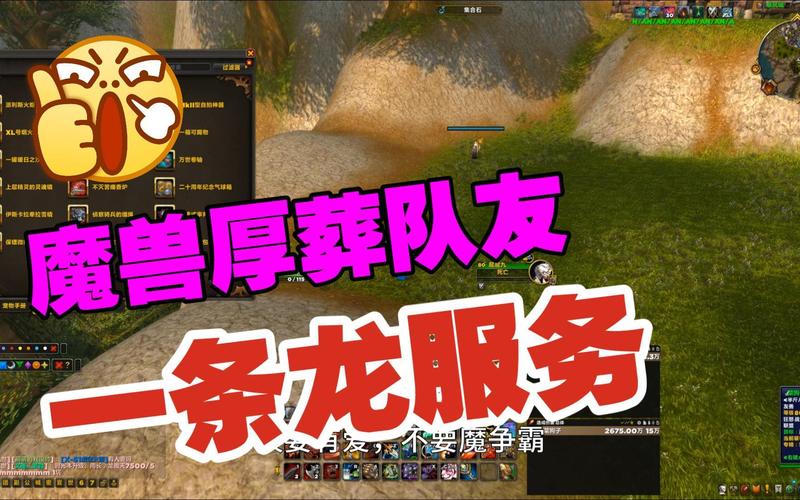 魔兽世界私服一条龙服务解析