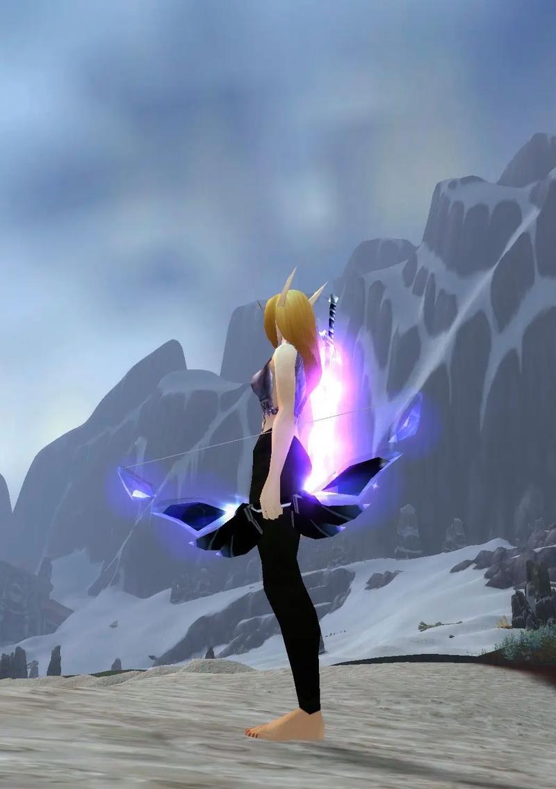 探索魔兽世界私服的神秘世界