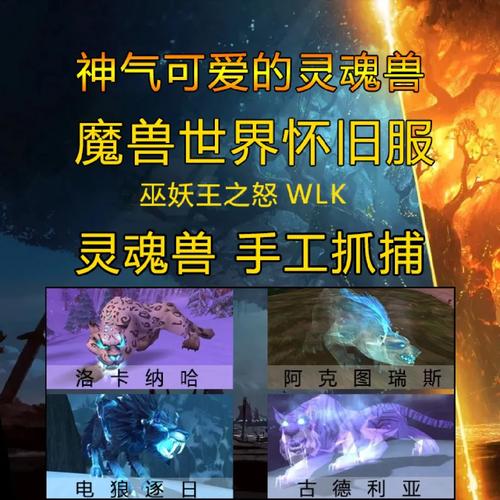 魔兽世界私服宠物抽搐解决方案