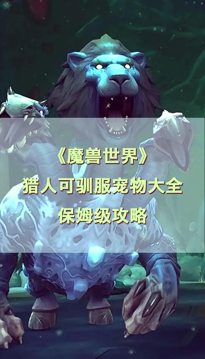 解决猎人宝宝卡技能问题，享受游戏乐趣