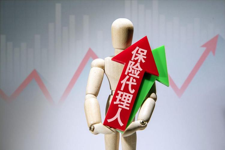 魔兽私服，盈利之道与风险解析
