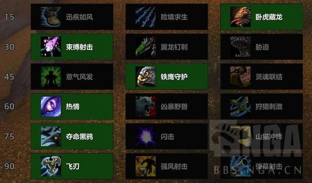 魔兽私服猎人卡伤害提升攻略，策略与技巧详解