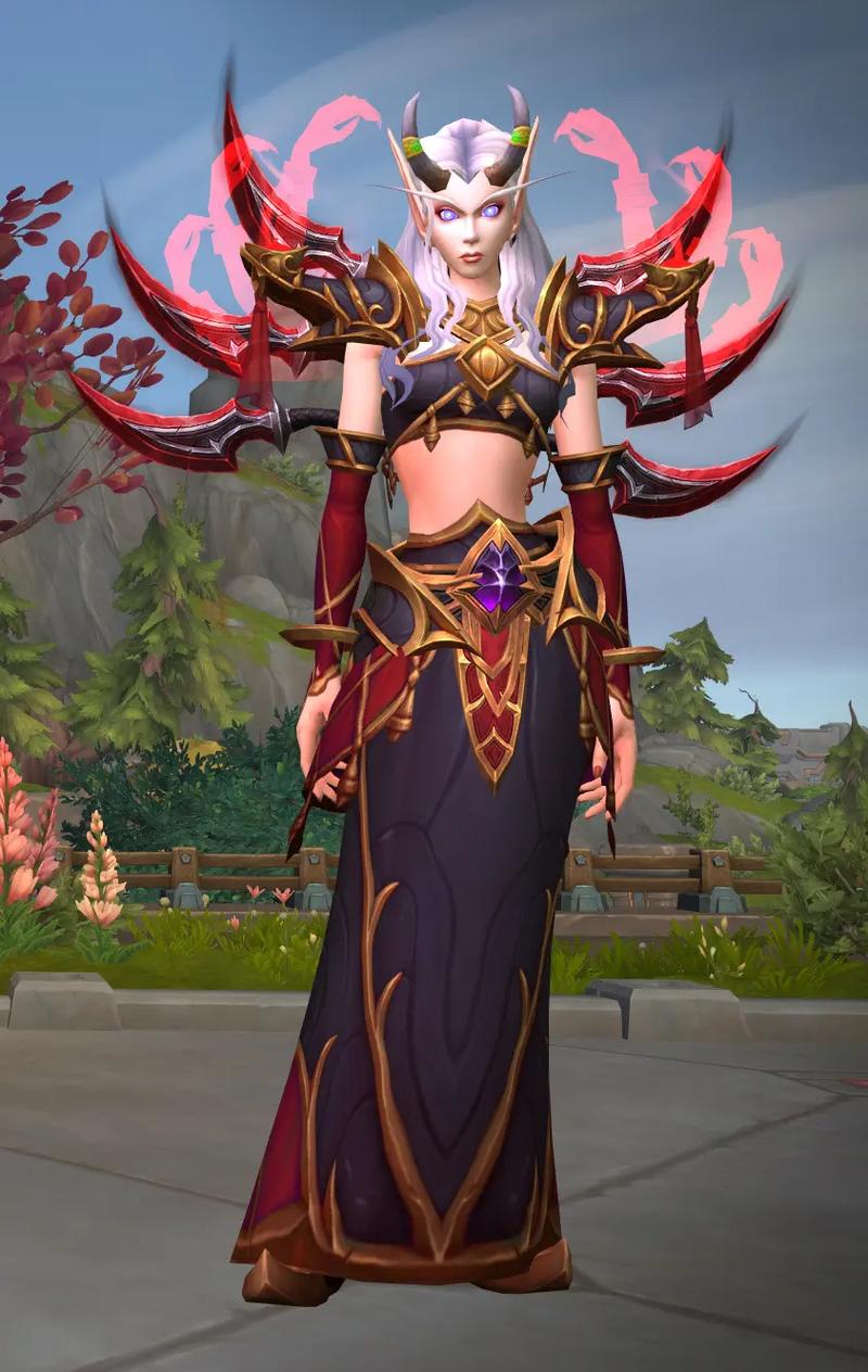 探索魔兽世界私服的魅力与风险
