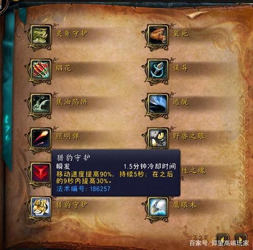 魔兽世界私服bug揭秘与修复指南