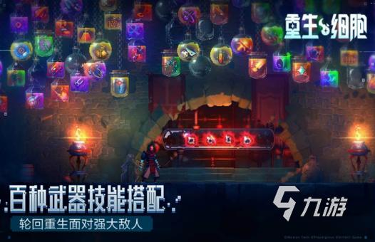 魔兽私服补丁全集，探索、下载与安装指南