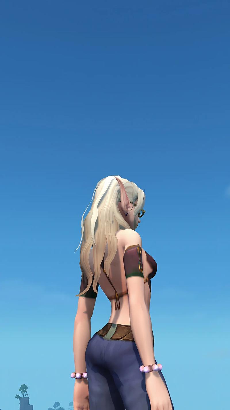 揭秘魔兽世界私服，玩家自建的虚拟世界