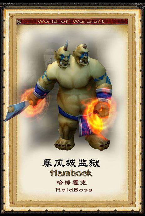 魔兽世界私服锁血外挂揭秘，真相与潜在危害