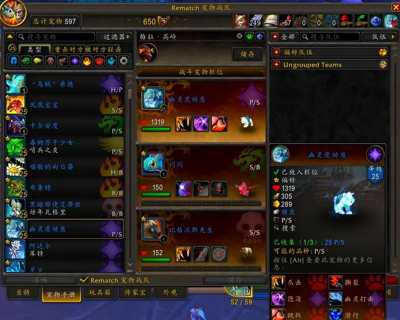 魔兽世界私服宠物异常，玩家困扰待解
