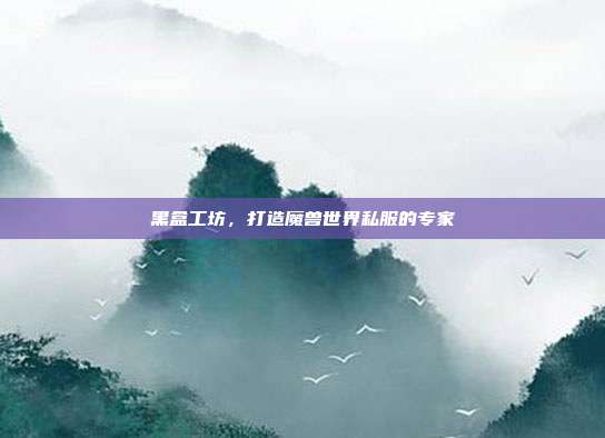黑盒工坊,打造魔兽世界私服的专家